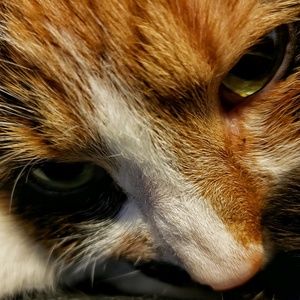 Meet your Posher, Gaby